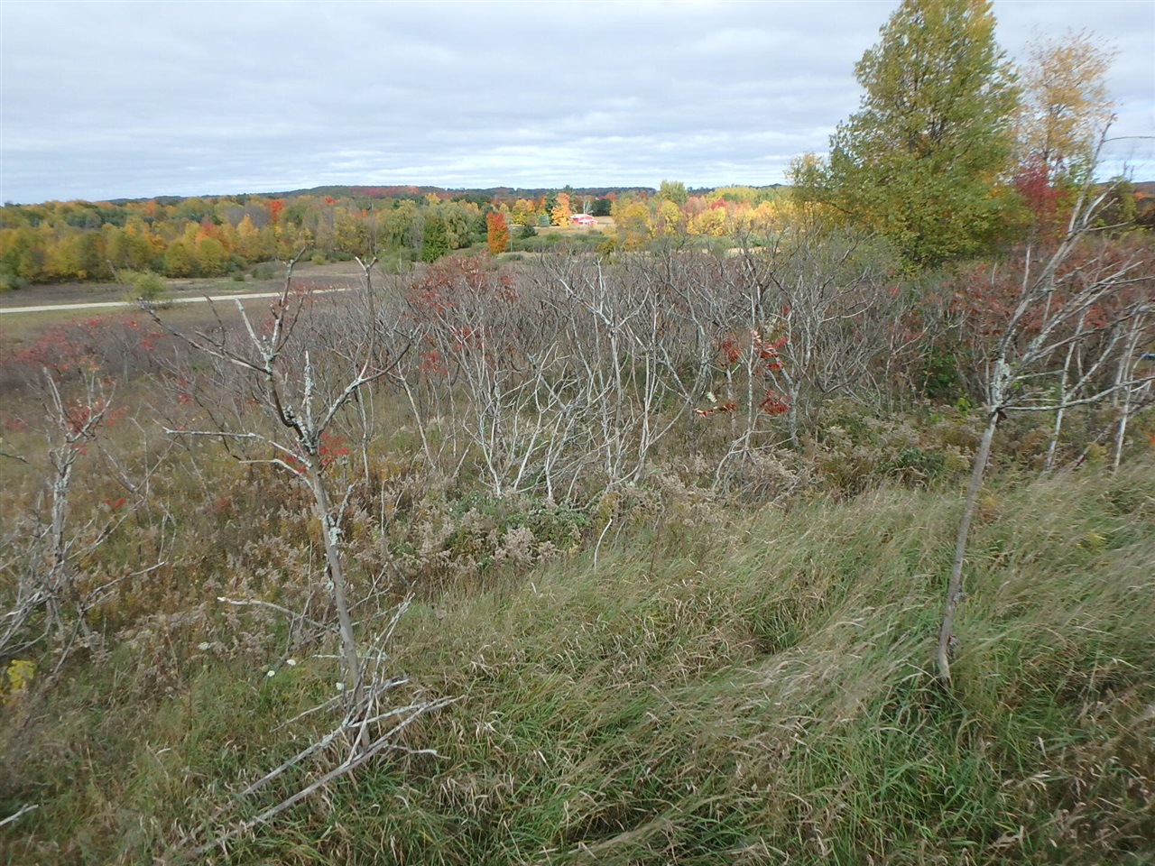 18155 Summerset Court Property Photo 3
