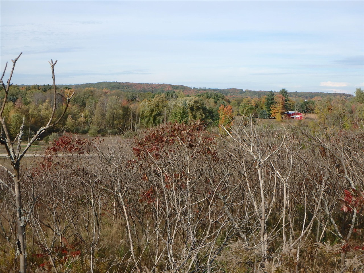 18155 Summerset Court Property Photo 6