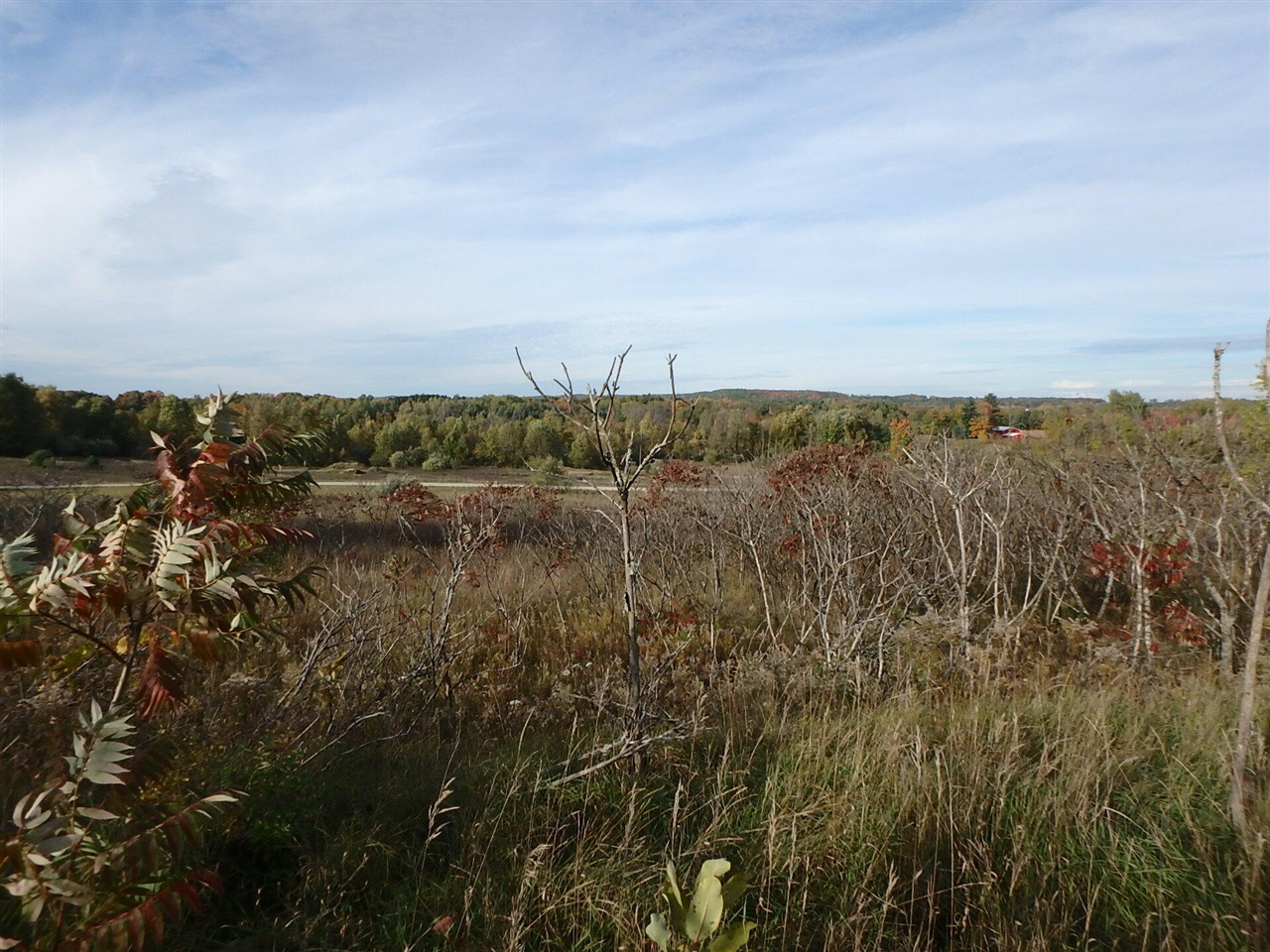 18155 Summerset Court Property Photo 7