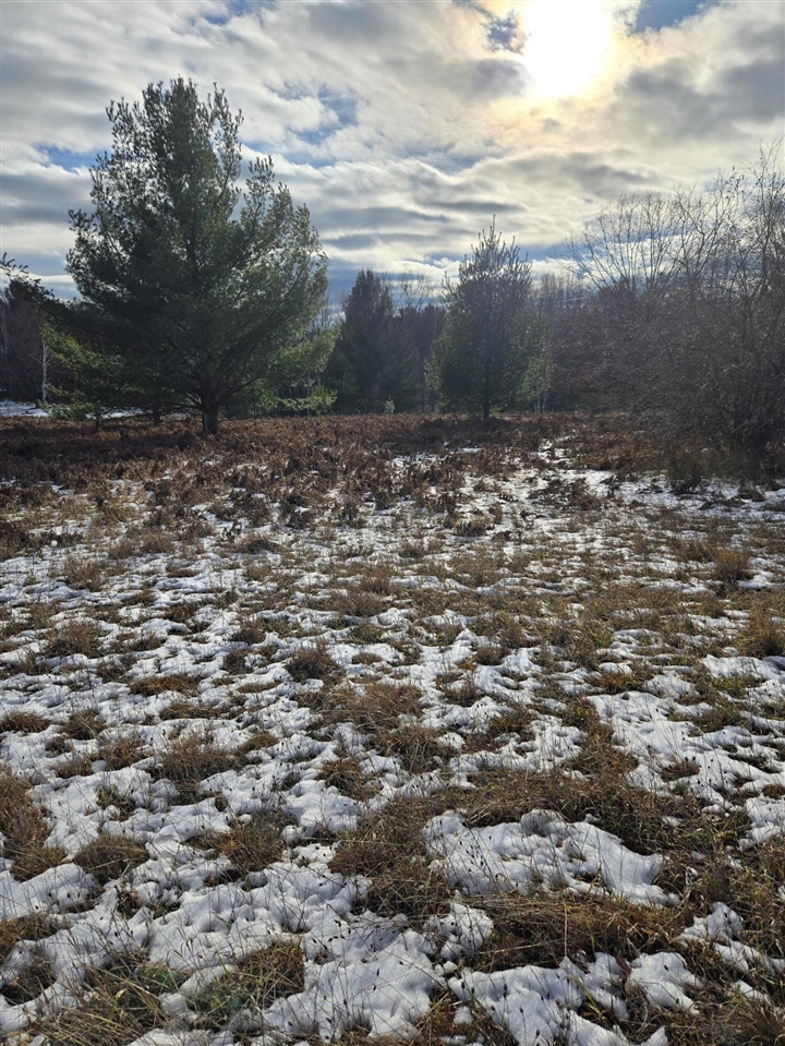Lot 895 Lake Miramichi Drive Property Photo 6