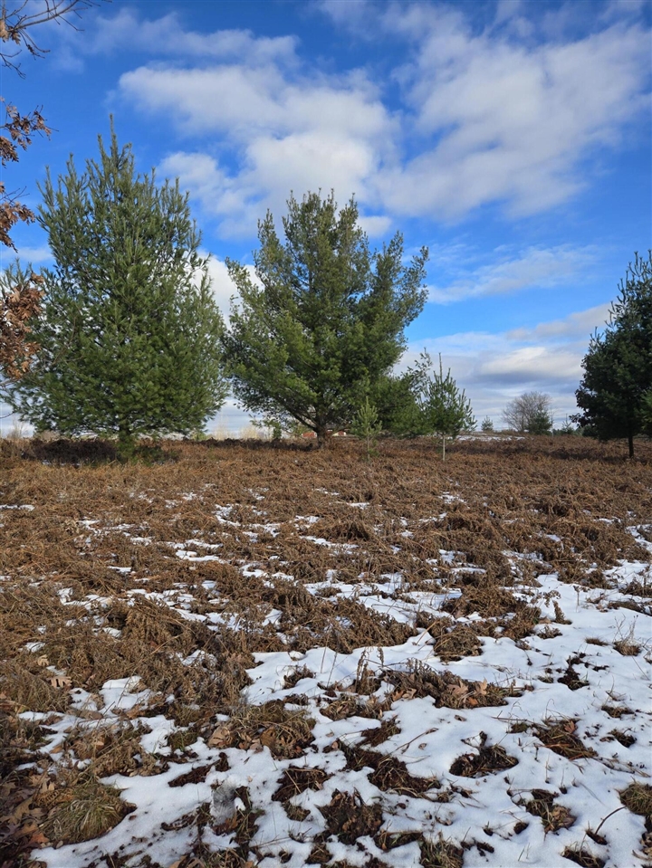 Lot 895 Lake Miramichi Drive Property Photo 10