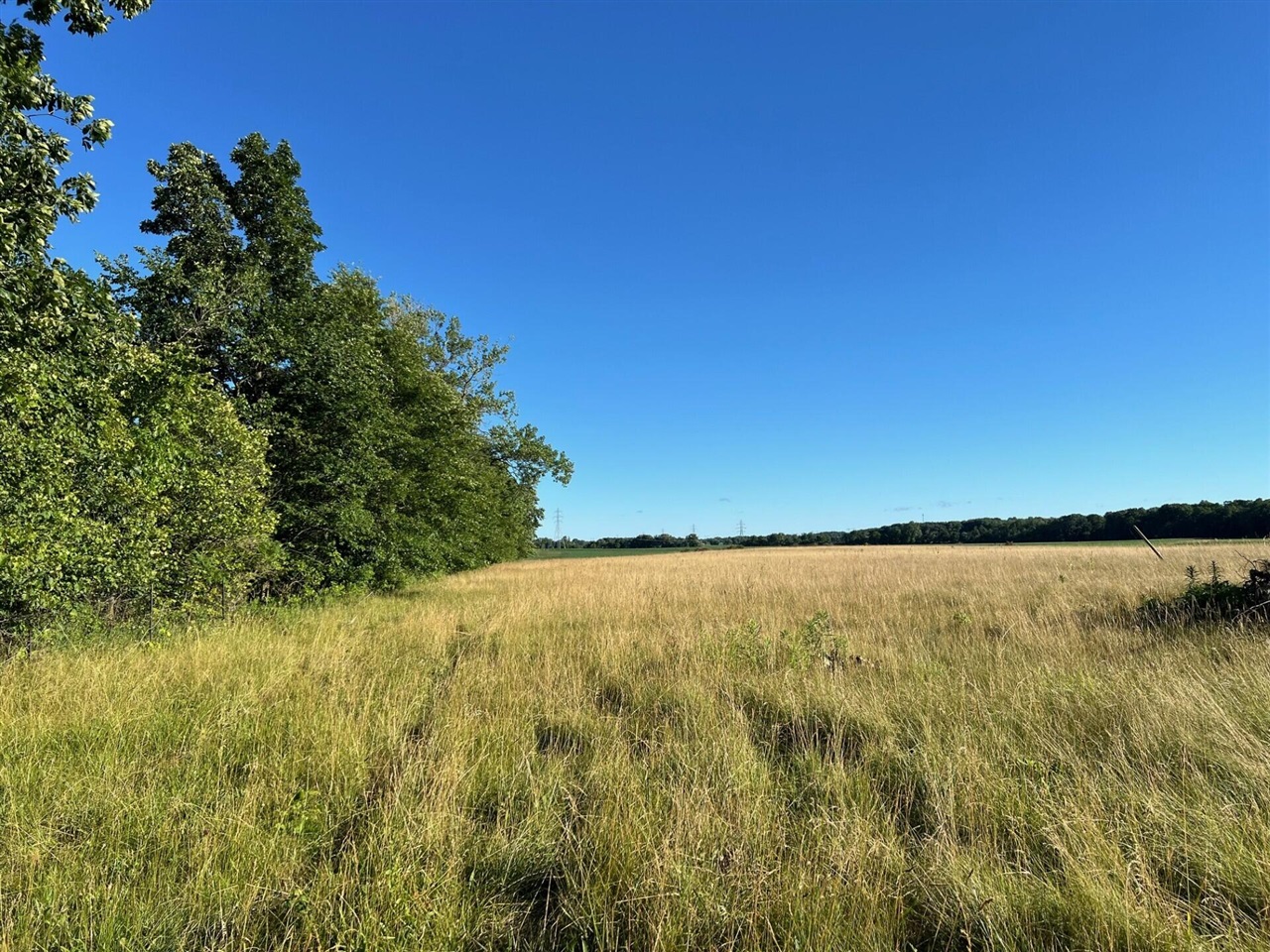 16204 Holden Road Property Photo 1