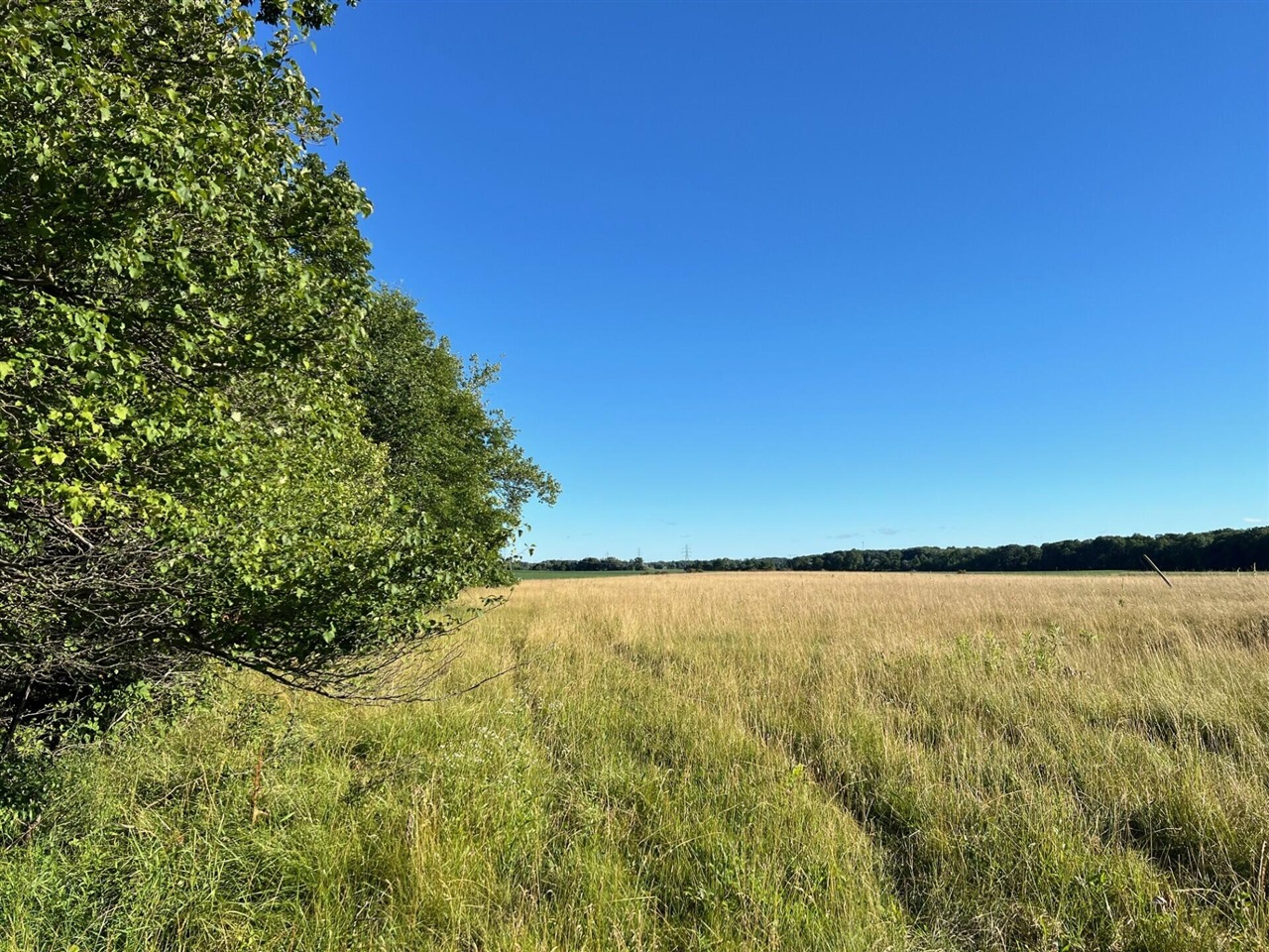16204 Holden Road Property Photo 5