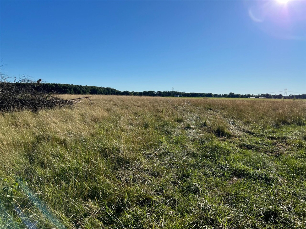 16204 Holden Road Property Photo 6