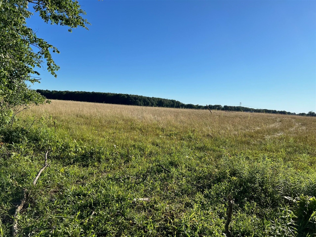16222 Holden Road Property Photo 1
