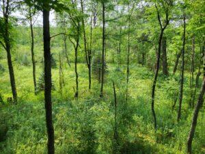 100 W Adams Road Property Photo 38
