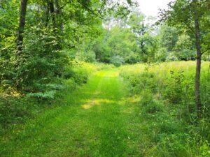 100 W Adams Road Property Photo 39