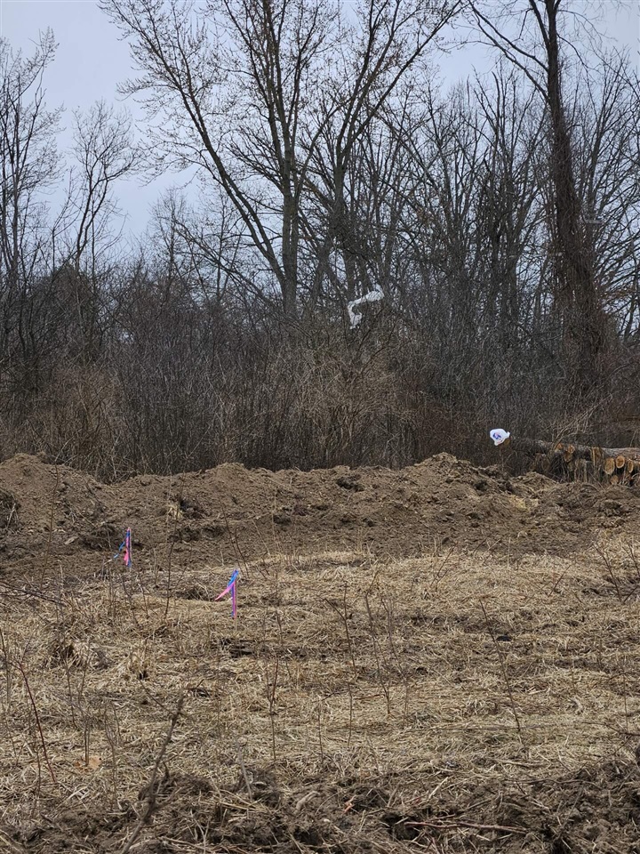 Vl Spring Arbor Road Property Photo 5