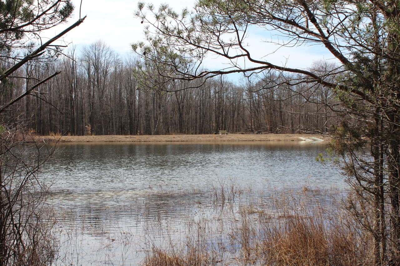43278 Whispering Pines Path Property Photo 2