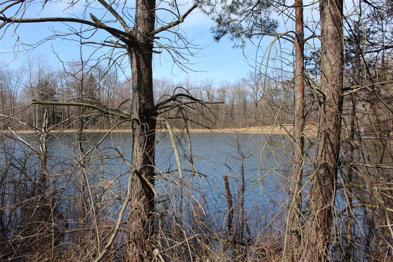 43278 Whispering Pines Path Property Photo 4