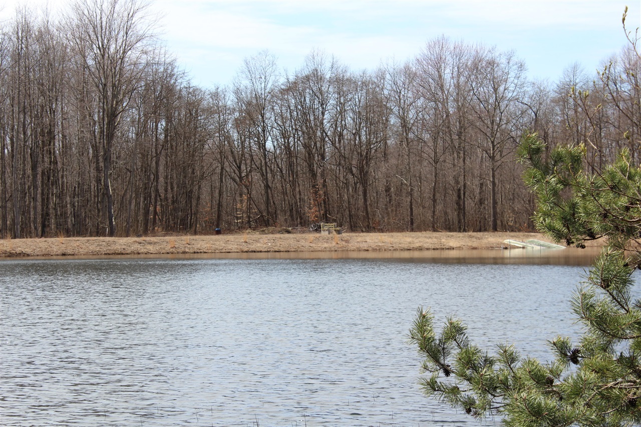 43278 Whispering Pines Path Property Photo 5