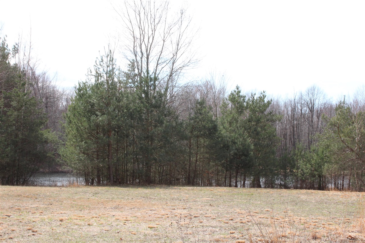 43278 Whispering Pines Path Property Photo 6