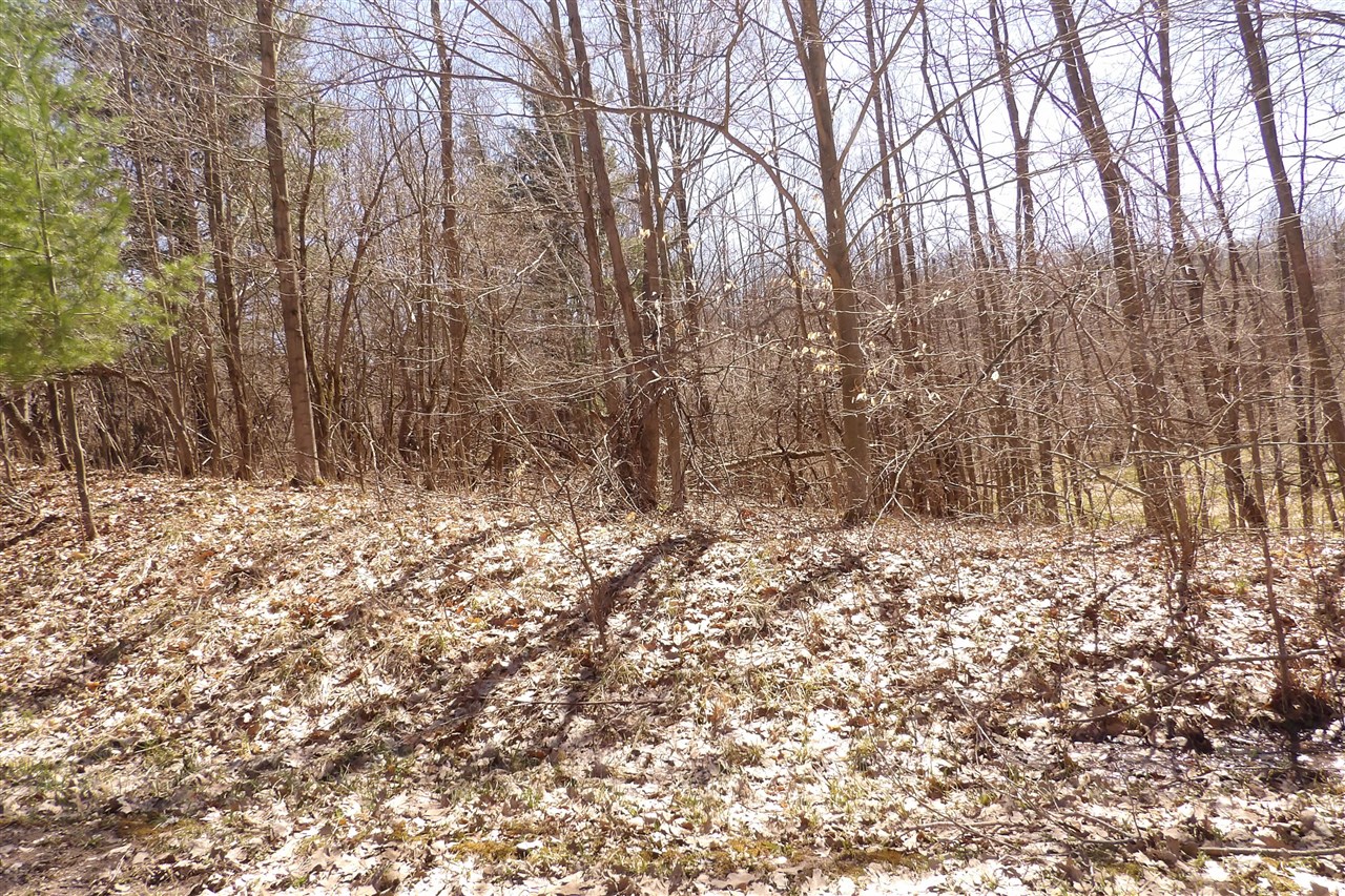 23042 Miramichi Drive Property Photo 1