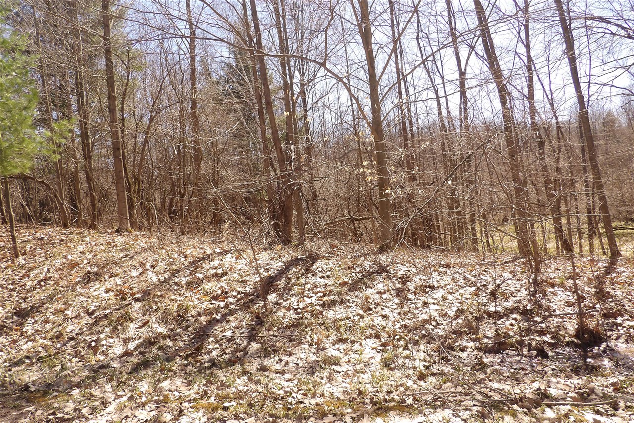23042 Miramichi Drive Property Photo 2