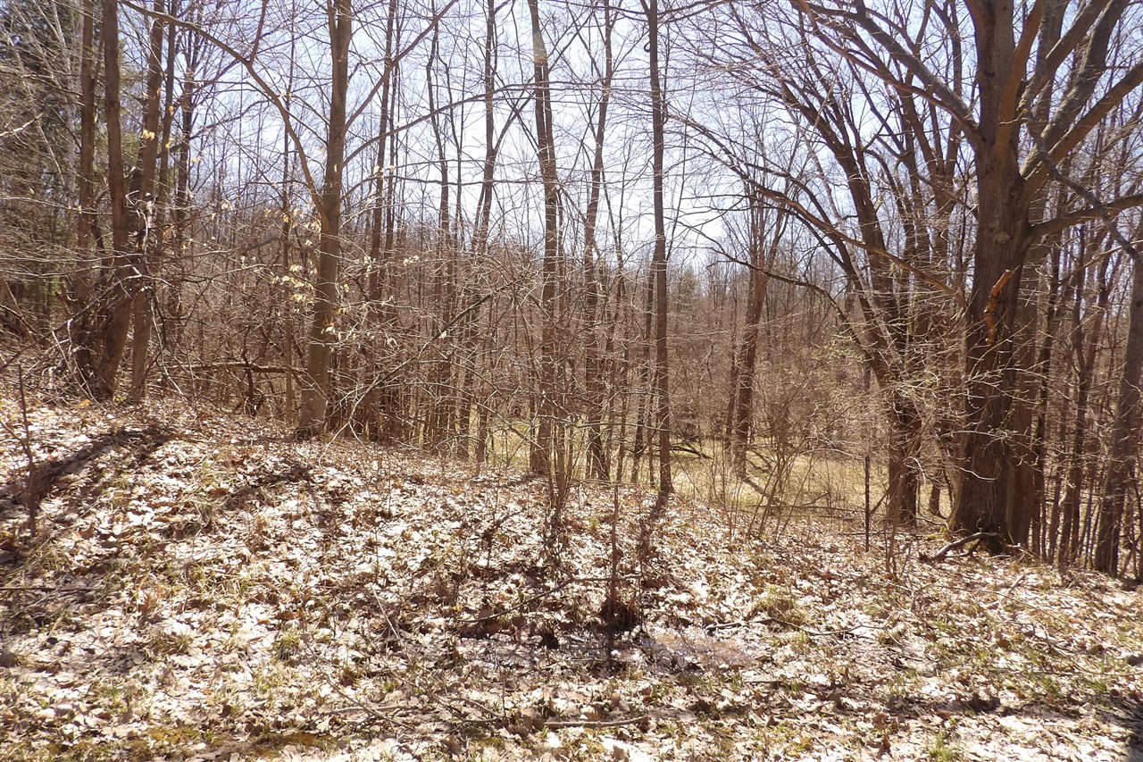 23042 Miramichi Drive Property Photo 3