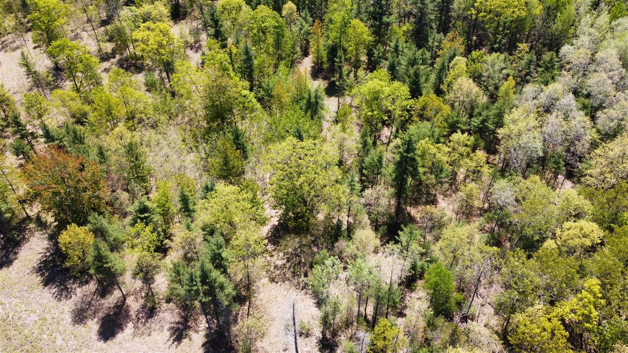 Red Apple Road Property Photo 6