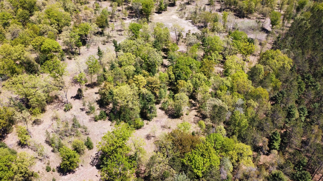 Red Apple Road Property Photo 12