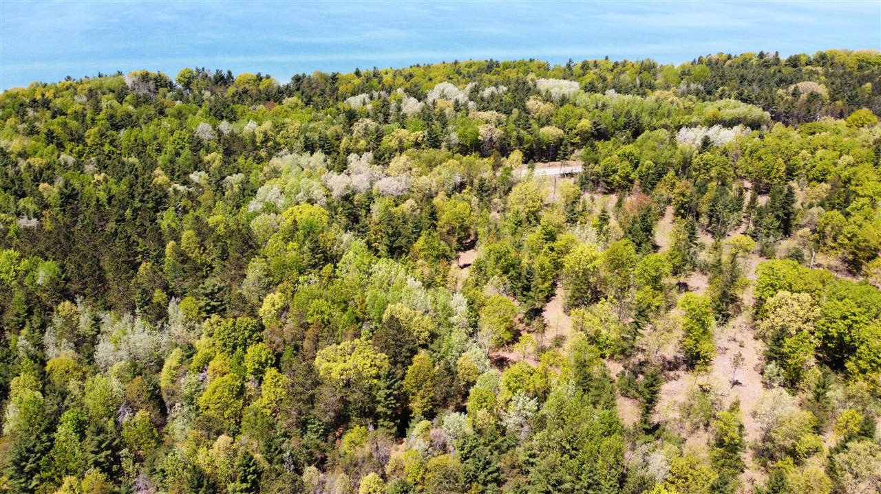 Red Apple Road Property Photo 13