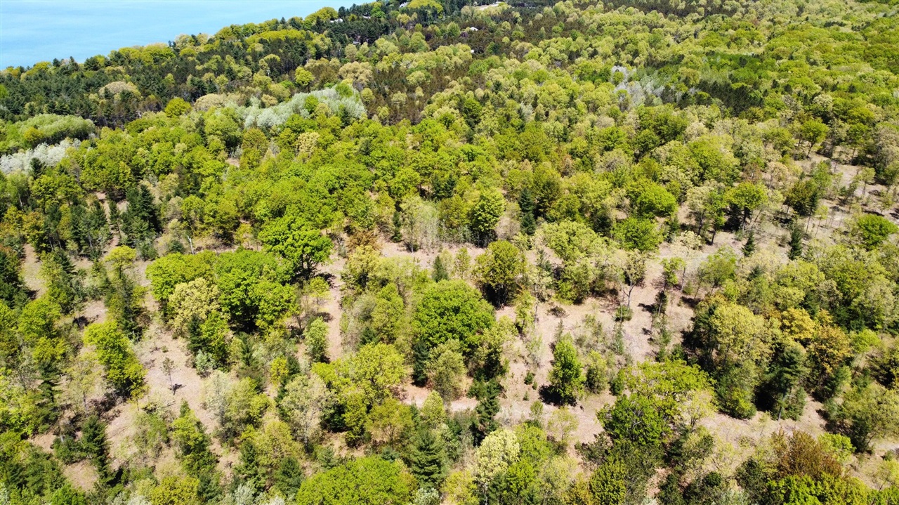 Red Apple Road Property Photo 16