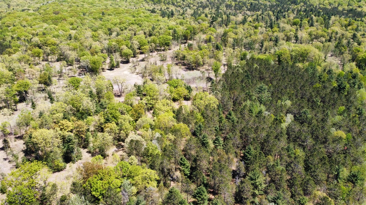 Red Apple Road Property Photo 18