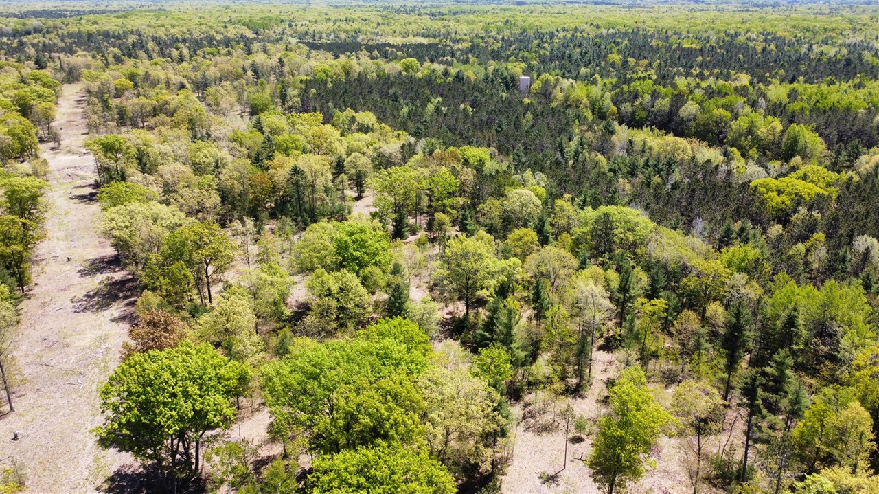 Red Apple Road Property Photo 7