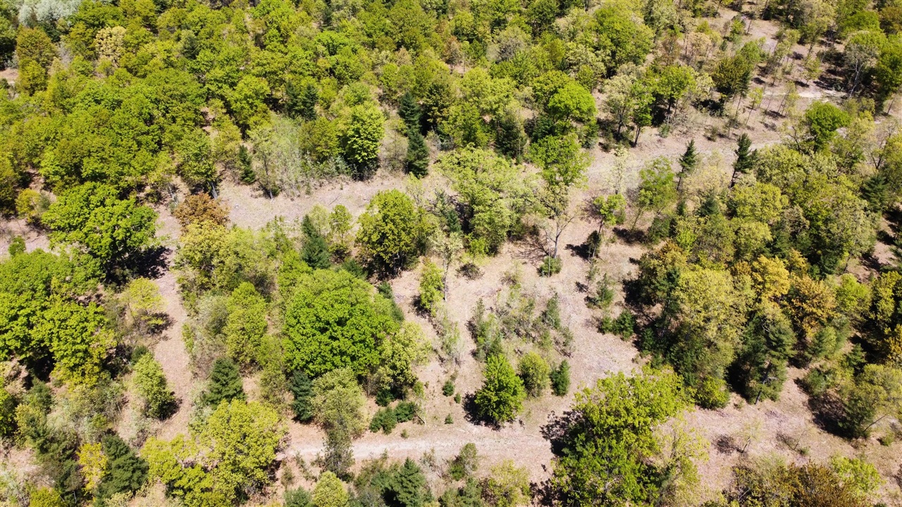 Red Apple Road Property Photo 11