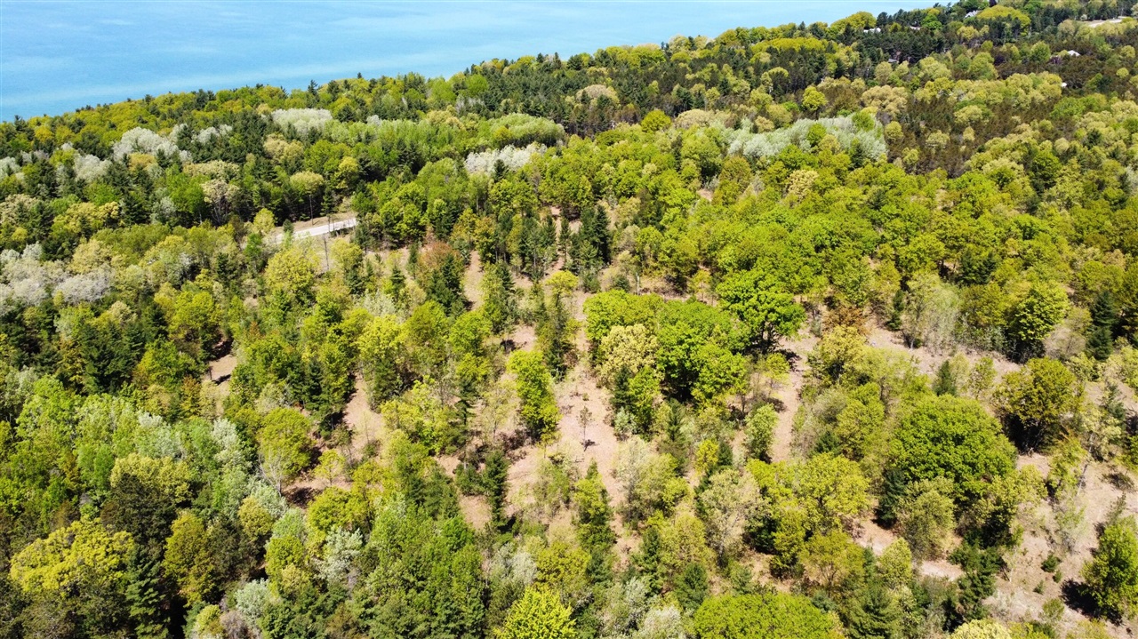Red Apple Road Property Photo 15