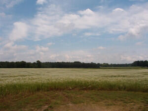 2152 17 Mile Road Property Photo 1