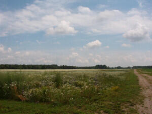 2152 17 Mile Road Property Photo 2