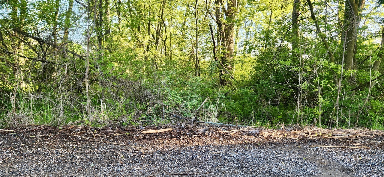 VL N 120th Avenue Property Photo 1