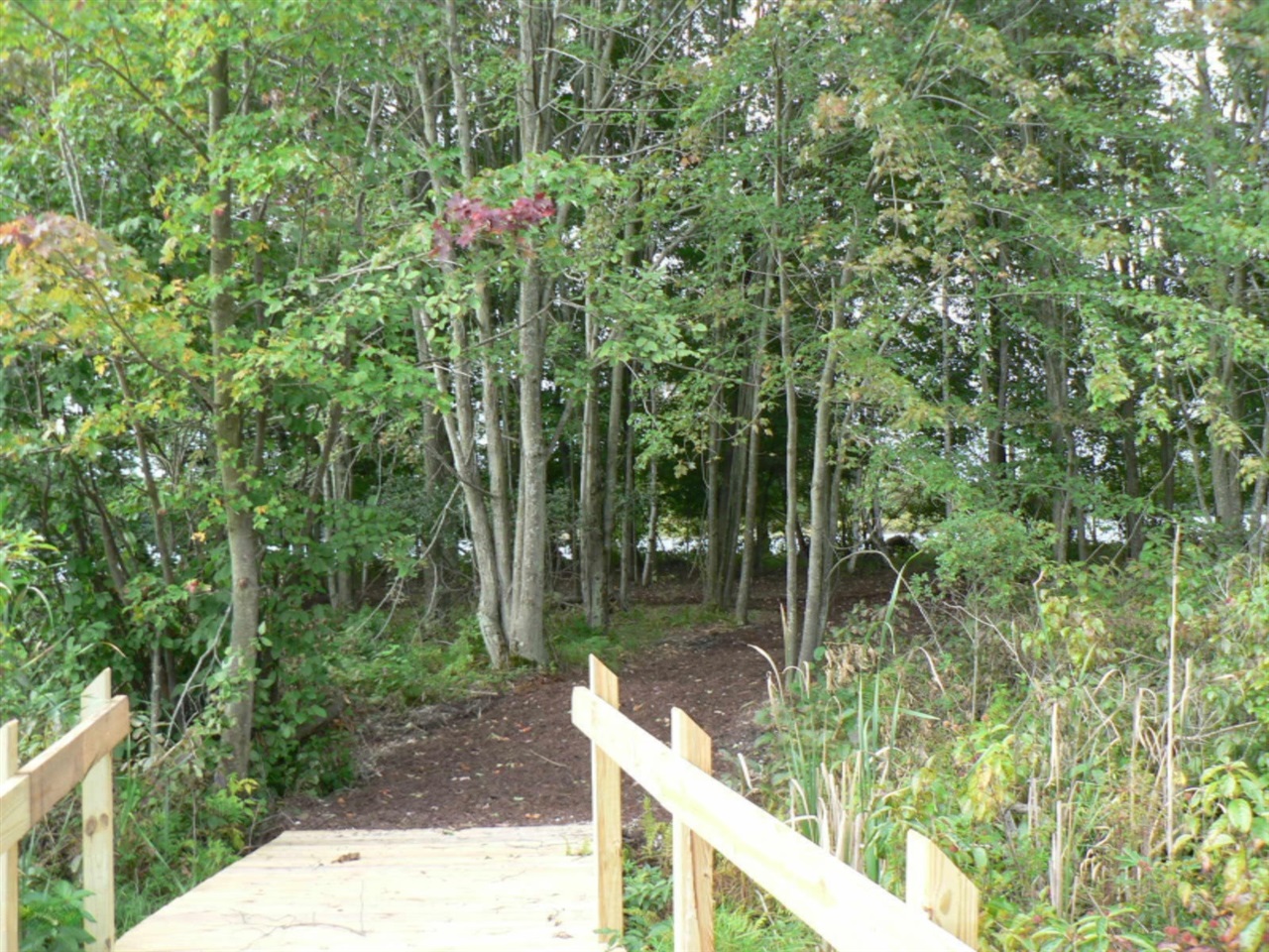5007 E Manitou Way Property Photo 8