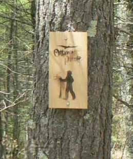 5007 E Manitou Way Property Photo 50