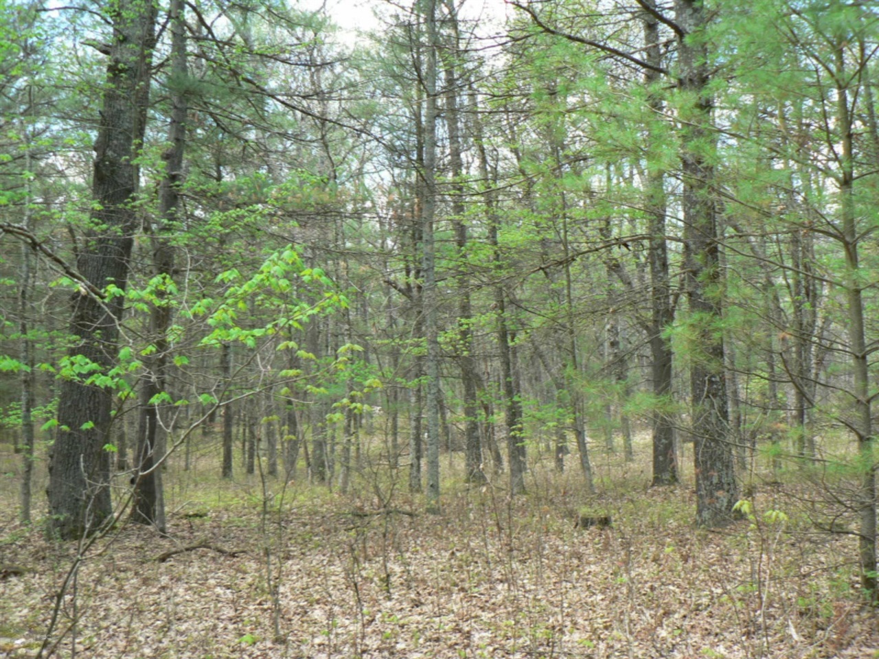5007 E Manitou Way Property Photo 52