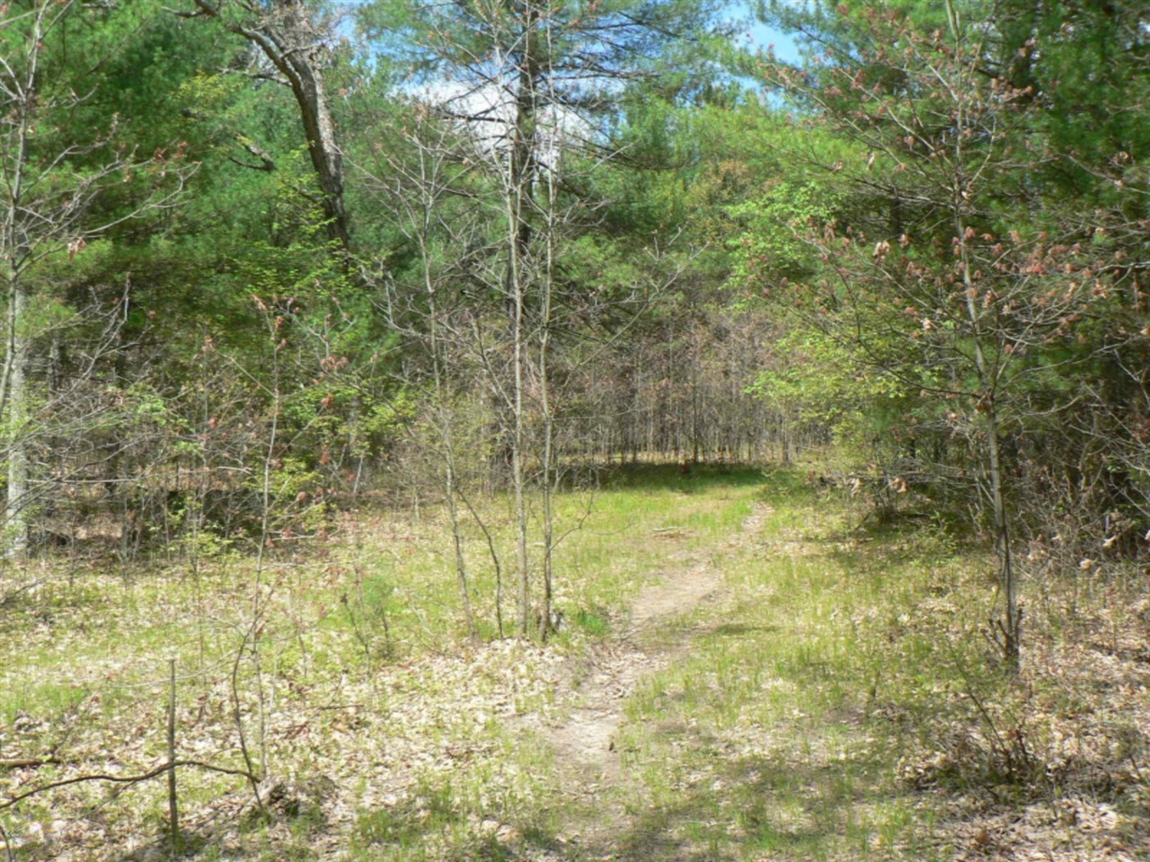 5007 E Manitou Way Property Photo 56