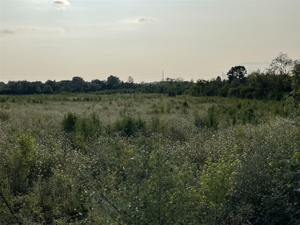 Lot 1 Munger Road Property Photo 1