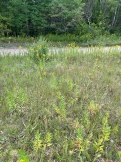West Avenue Property Photo 5
