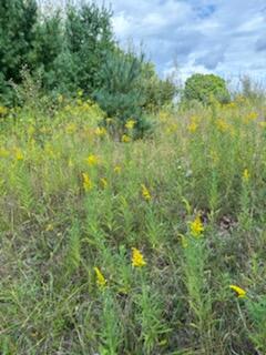 West Avenue Property Photo 6