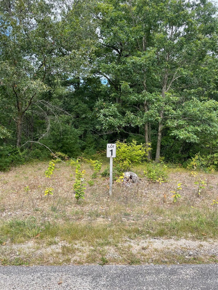 Lot 1 Renaissance Park Property Photo 1