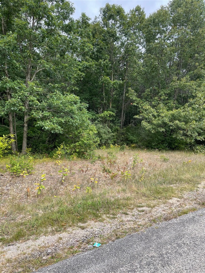 Lot 1 Renaissance Park Property Photo 4