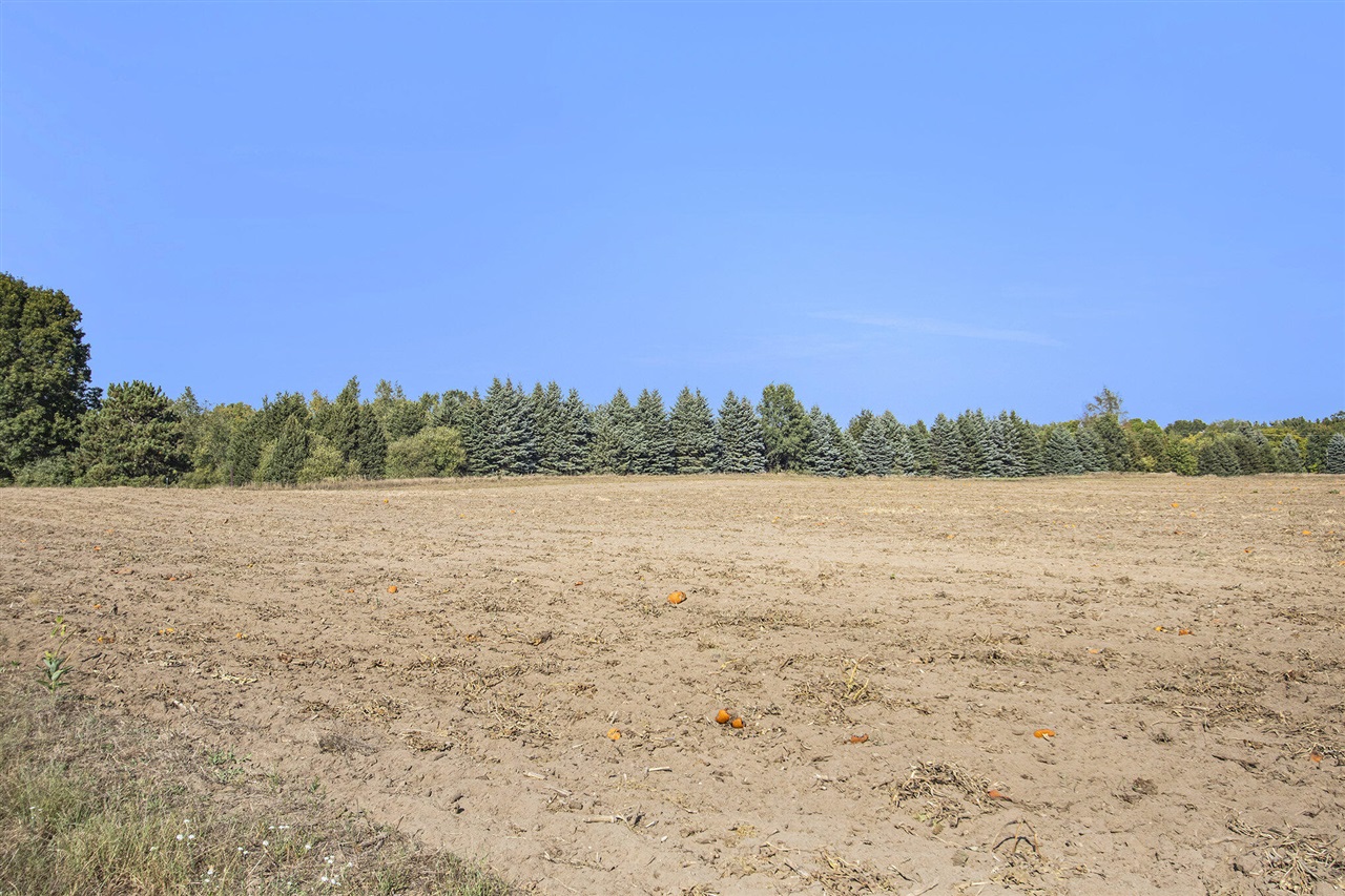 3308 W Monroe Road Property Photo 23