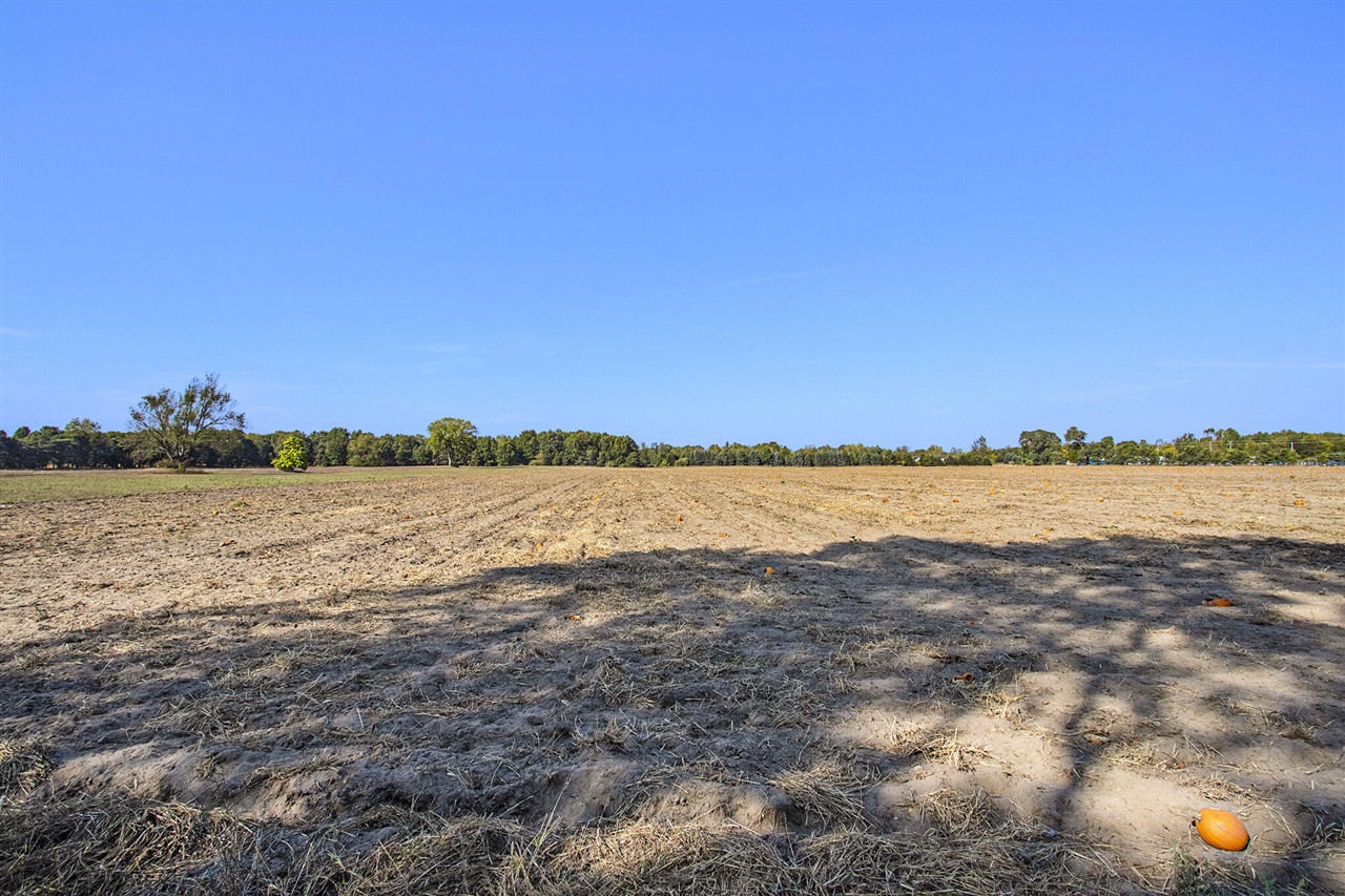 3308 W Monroe Road Property Photo 14