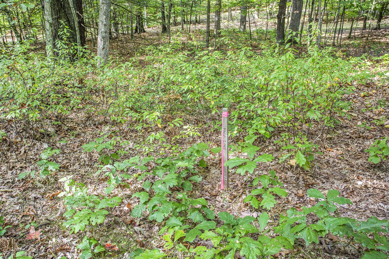 9425 Benjamin Drive Property Photo 12