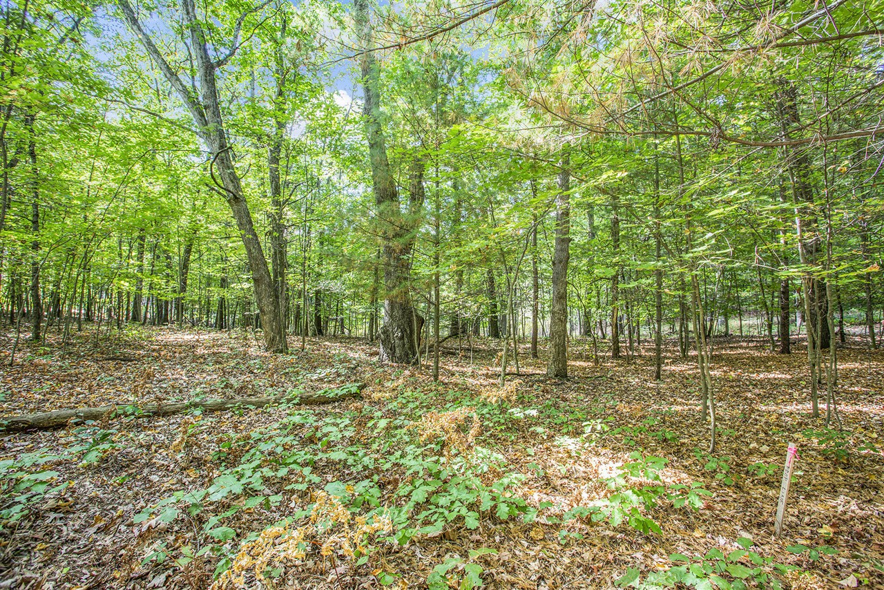 9425 Benjamin Drive Property Photo 13