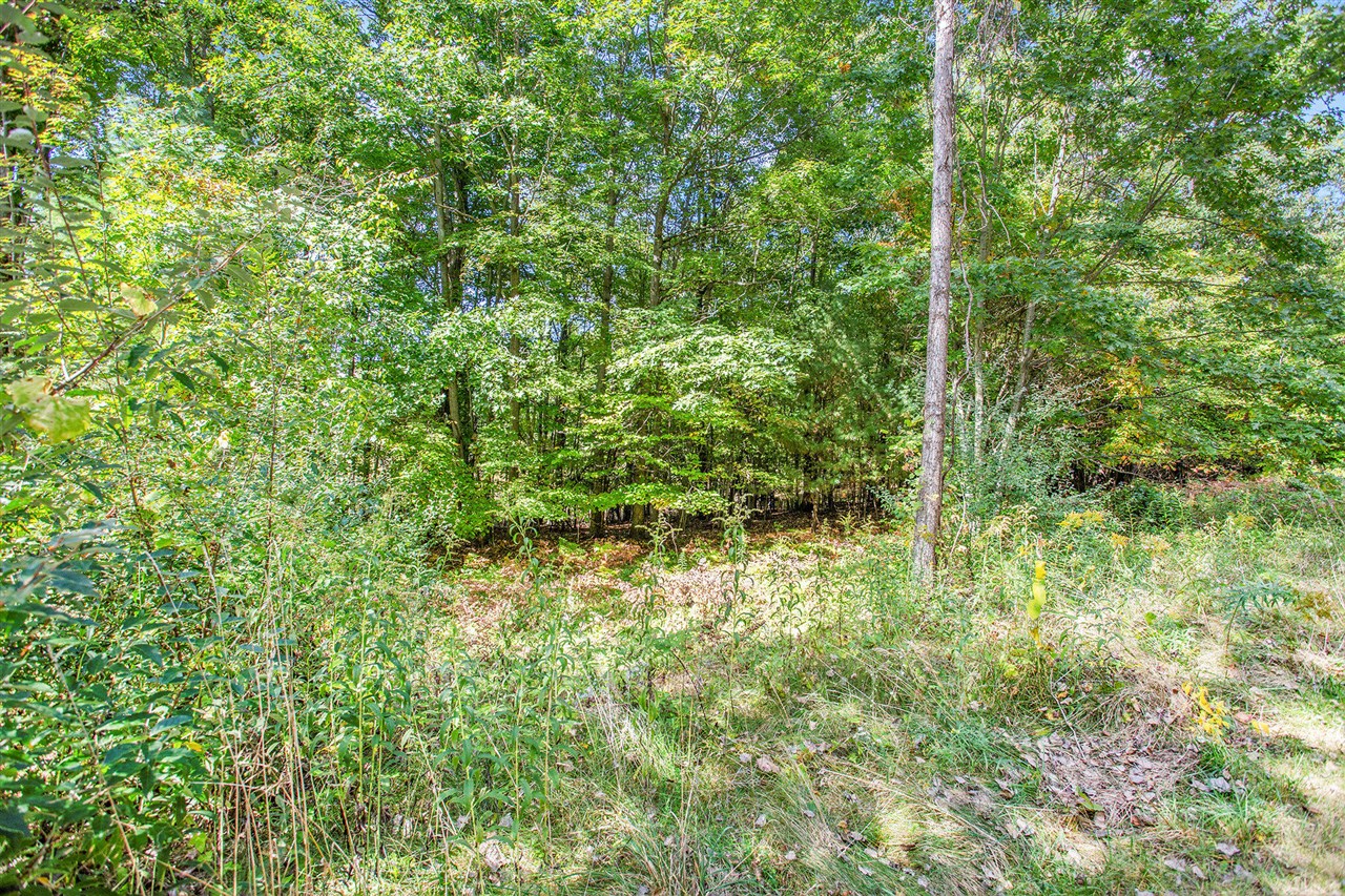 9425 Benjamin Drive Property Photo 16