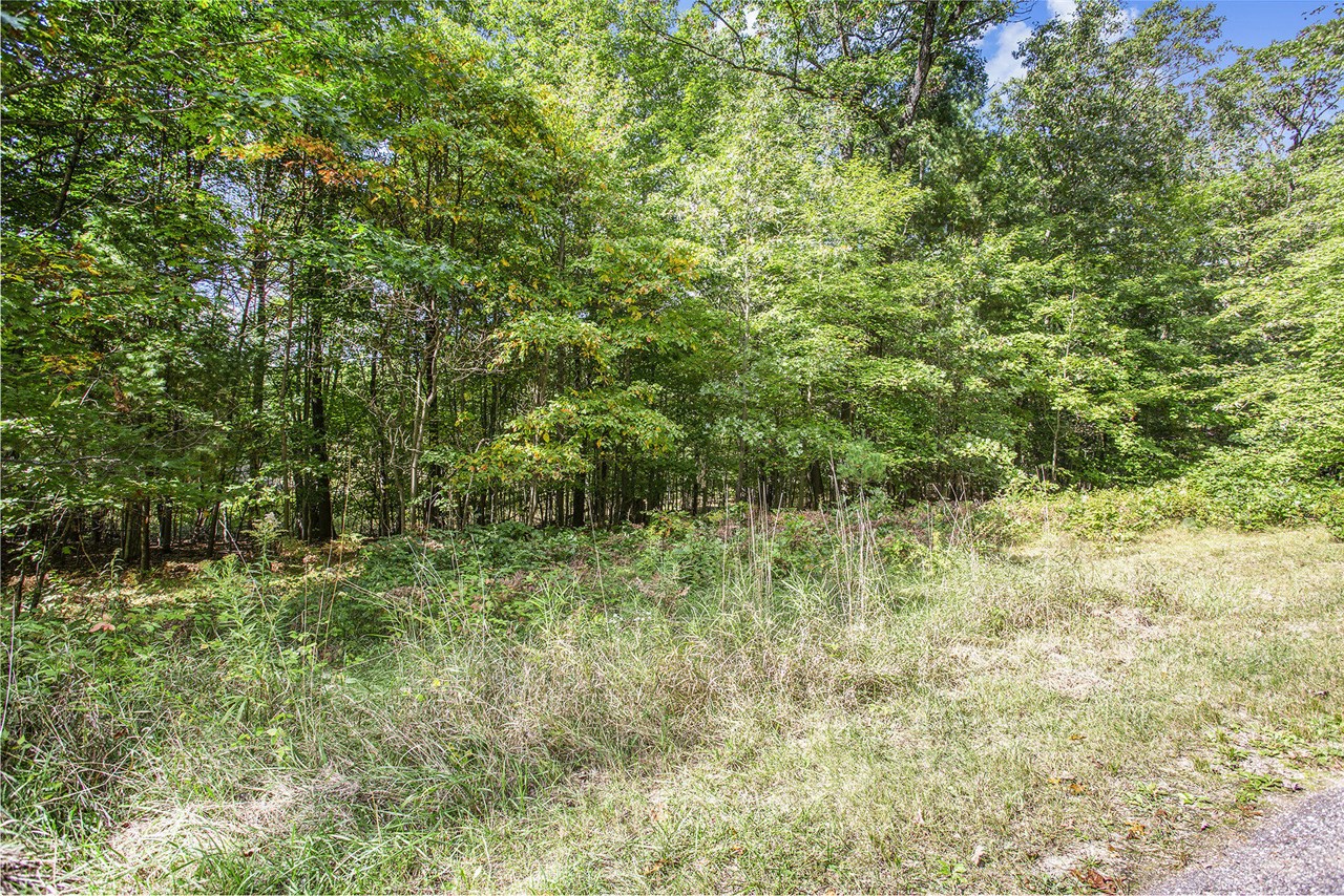 9425 Benjamin Drive Property Photo 17