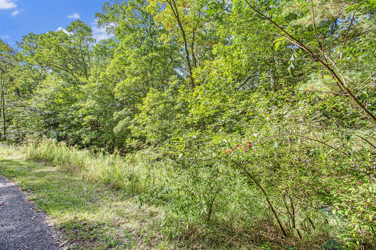 9425 Benjamin Drive Property Photo 18