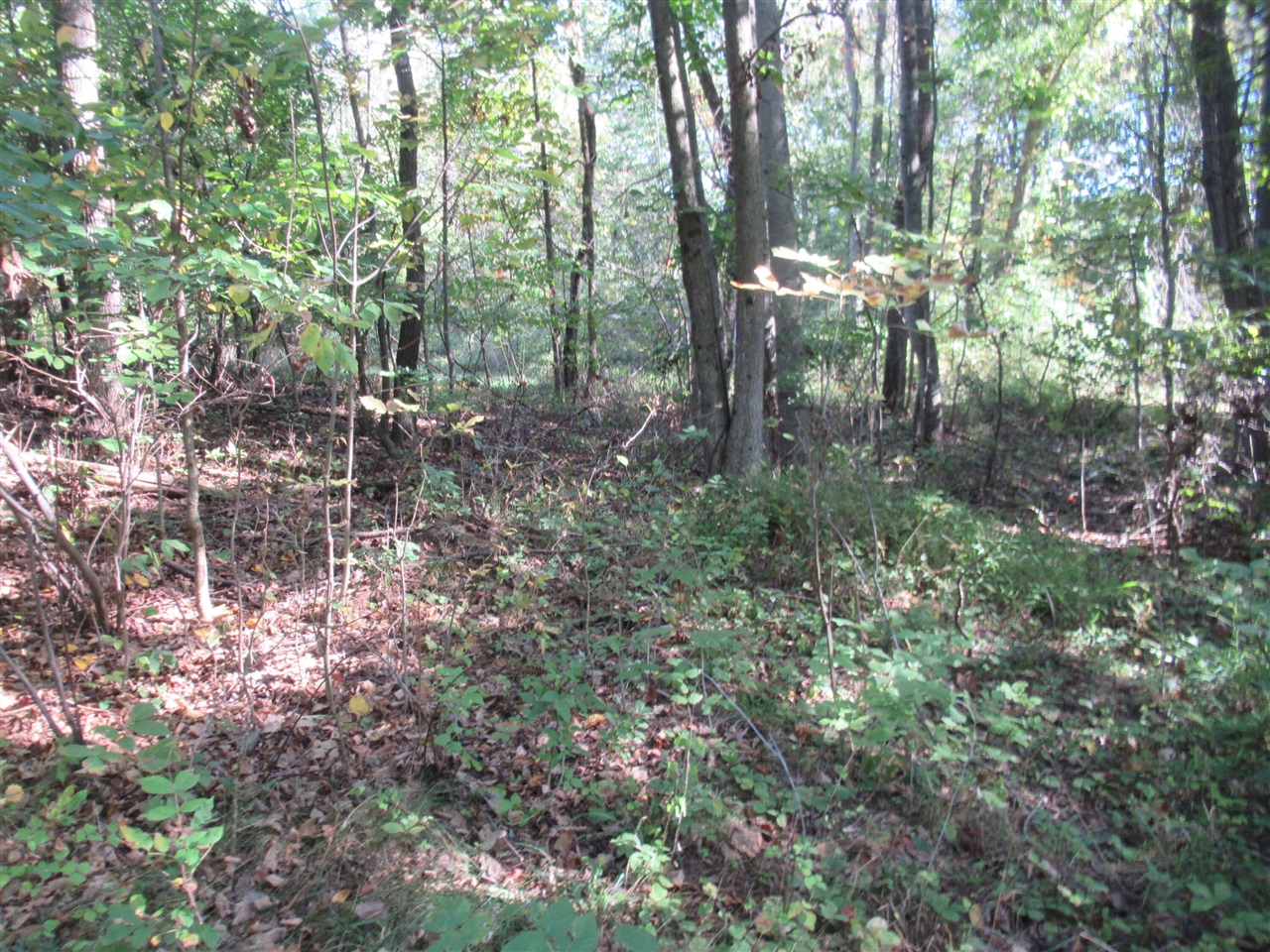 17538 Paradise Lake Road Property Photo 1