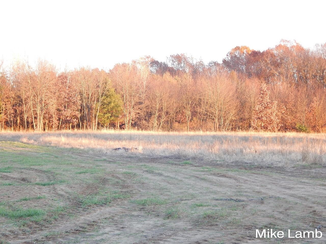 9340-5 Sparta Avenue Property Photo 1