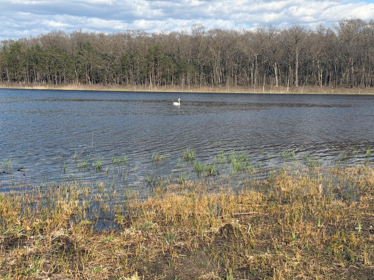 0 E Laketon Property Photo 4