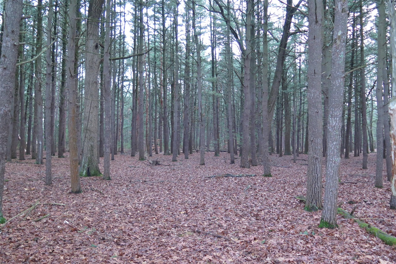 0 E Laketon Property Photo 6